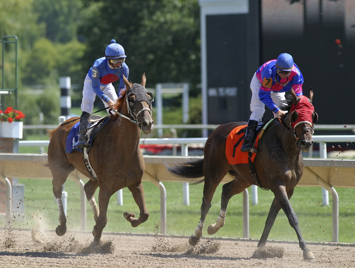 The finish of a horse race